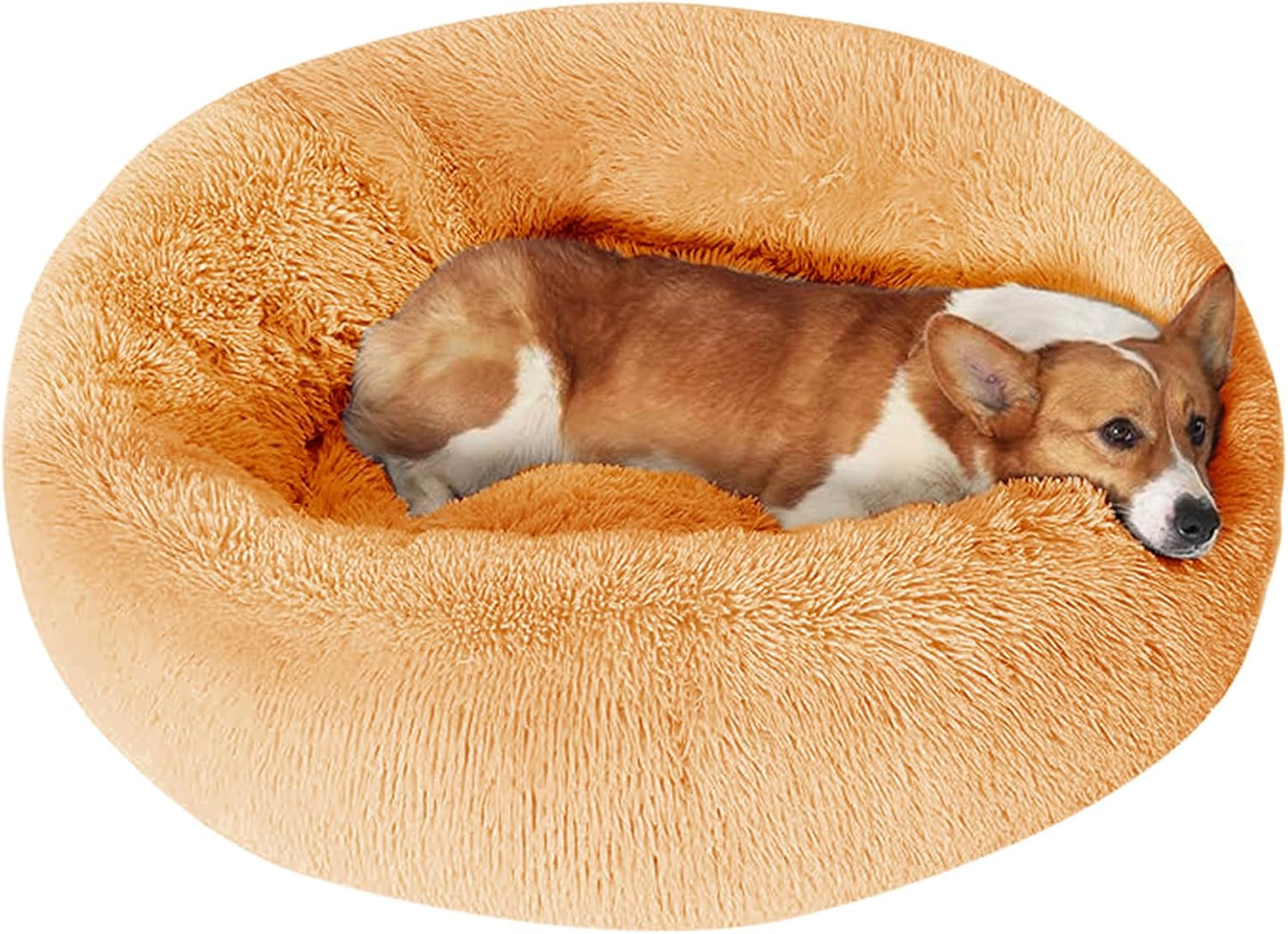 Dog & Cat Bed, Calming Anti-Anxiety Pet Bed for Small Dogs, Fluffy Donut Cushion for Small and Medium Pets (20")