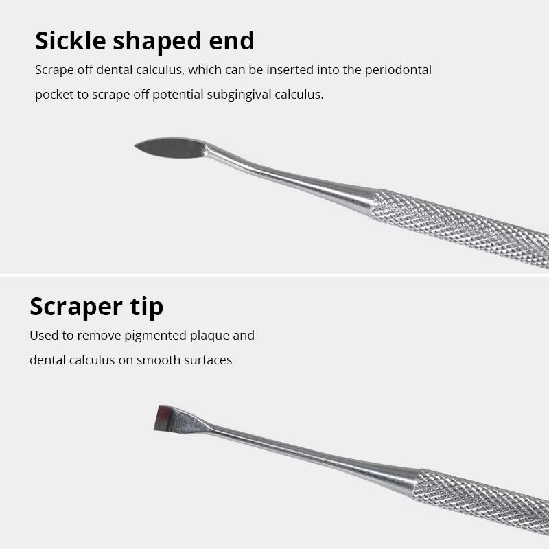 Stainless Steel Pet Dental Tool for Tartar Removal and Oral Hygiene