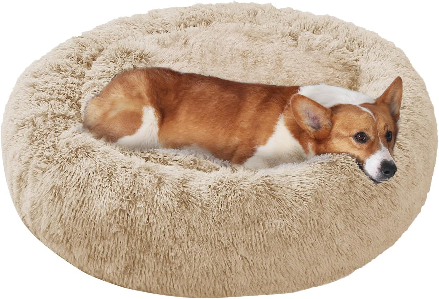 Dog & Cat Bed, Calming Anti-Anxiety Pet Bed for Small Dogs, Fluffy Donut Cushion for Small and Medium Pets (20")