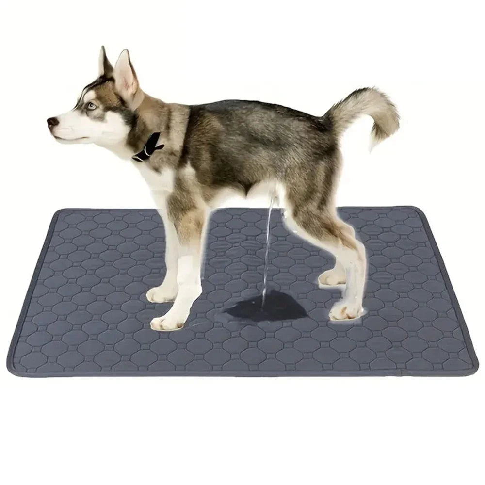 Reusable Dog Pee Pad Blanket Absorbent Diaper Washable Puppy Training Pad Pet Bed Urine Mat for Pet Car Seat Cover Pet Supplies