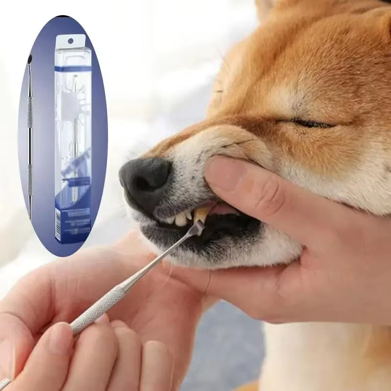 Stainless Steel Pet Dental Tool for Tartar Removal and Oral Hygiene