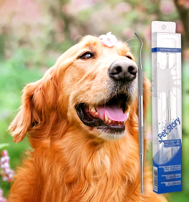 Stainless Steel Pet Dental Tool for Tartar Removal and Oral Hygiene