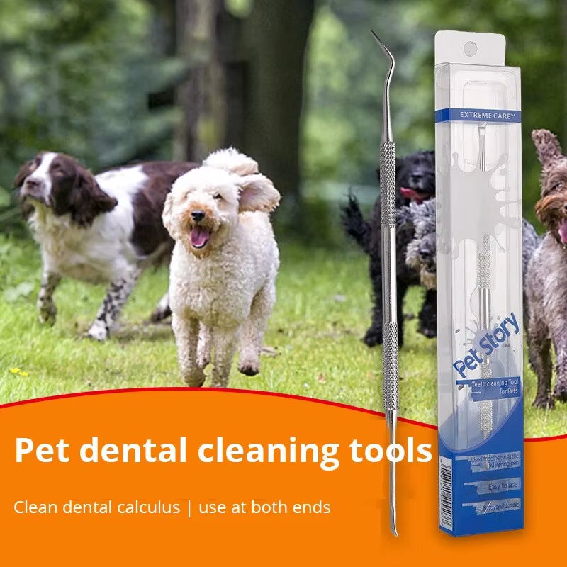 Stainless Steel Pet Dental Tool for Tartar Removal and Oral Hygiene